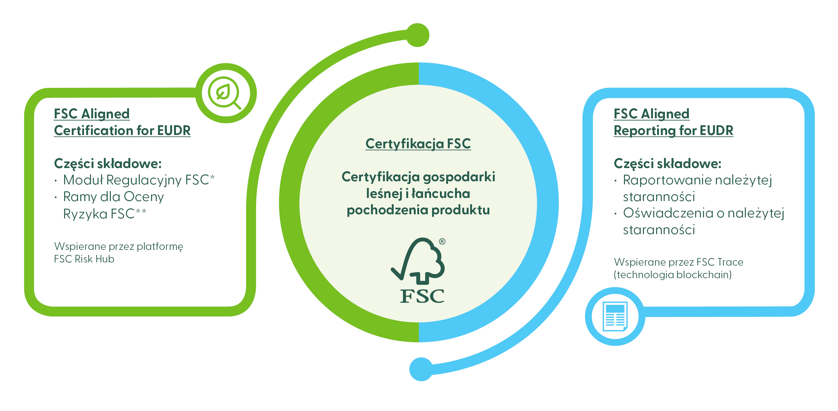 FSC dla EUDR - infografika