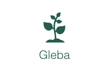 Gleba