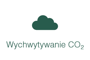 Wychwytywanie CO2